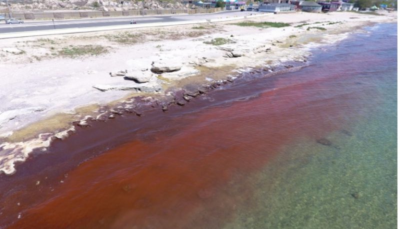 Вода у берега Каспийского моря окрасилась в красный цвет