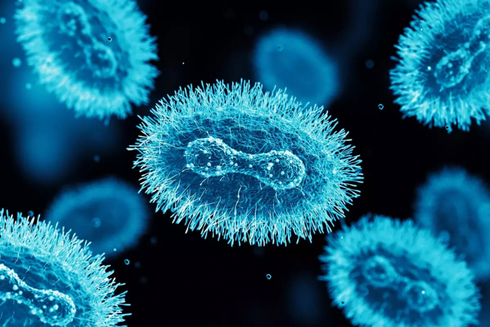 Вирус оспы обезьян был создан в лаборатории – фейк