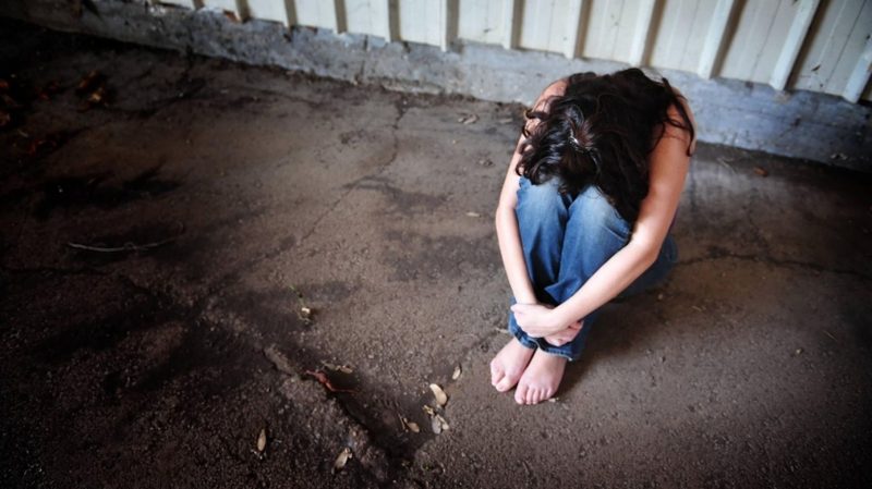 День поддержки жертв преступлений и день кошки в Японии