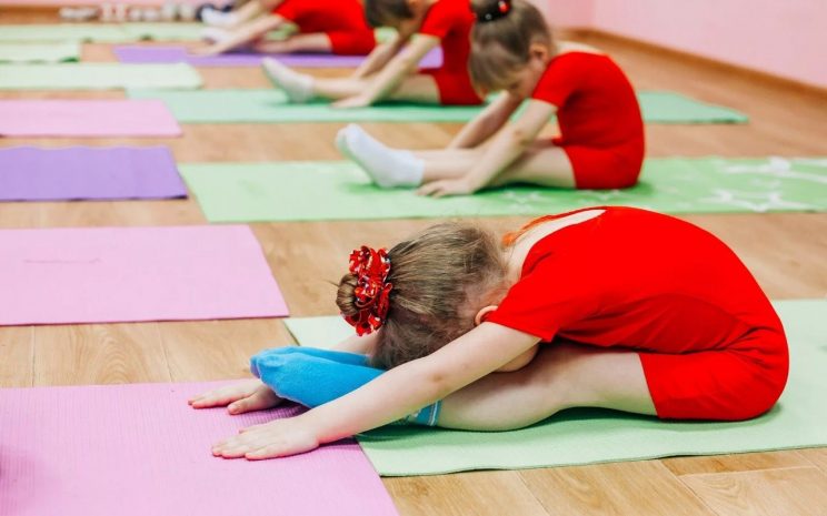 Сенатор предложил внести изменения в программу ART Sport