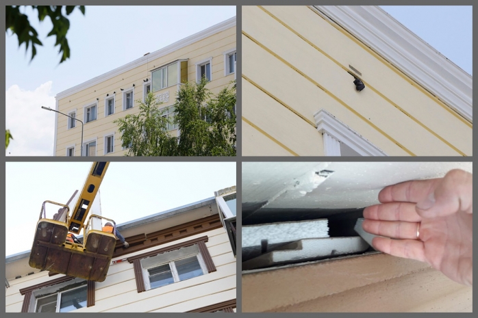 Тысячи голубей заживо замуровали при ремонте фасадов в Костанае