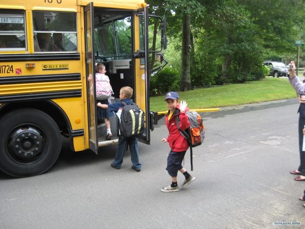 Десятки детей пострадали в ДТП в Канаде