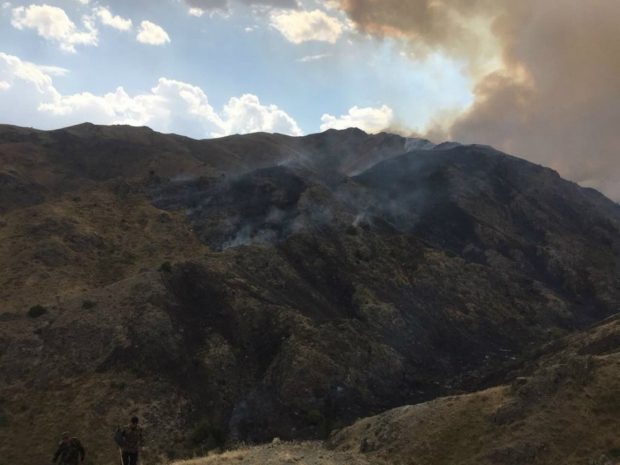 Дождь помог спасателям потушить лесной пожар в Жамбылской области