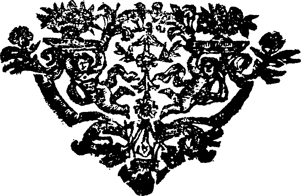 Перечислены полезные для сердца упражнения